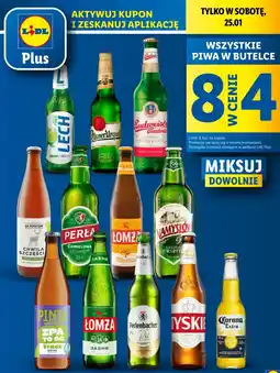 Lidl Piwa w butelce oferta