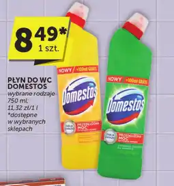 Euro Sklep Płyn do czyszczenia wc Domestos oferta