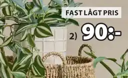 JYSK MATSSON BLOMKRUKA oferta