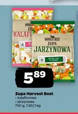 Netto Zupa jarzynowa Harvest best oferta