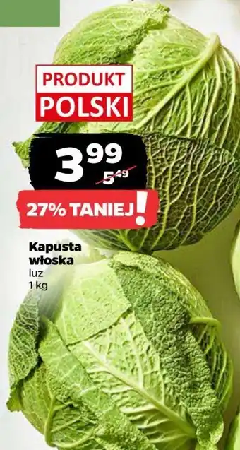 Netto Kapusta włoska oferta