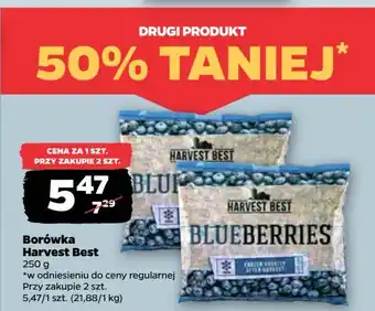 Netto Borówka Harvest Best oferta