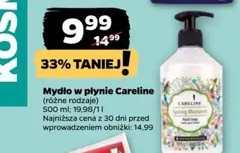 Netto Mydło w płynie spring blossom Careline oferta