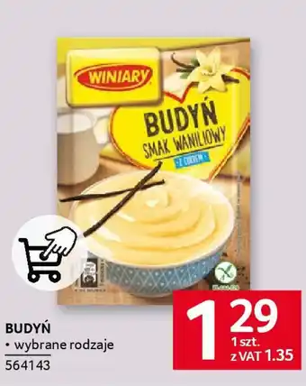 Selgros BUDYŃ oferta