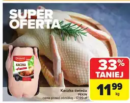 Carrefour Kaczka Drosed oferta