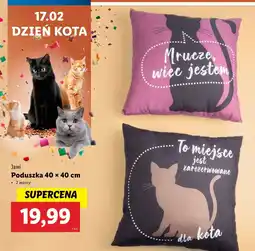 Lidl Poduszka 40 x cm z nadrukiem Jawi oferta