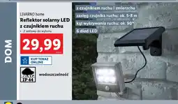 Lidl Reflektor solarny led z czujnikiem ruchu Livarno Home oferta