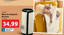 Lidl Mata do drapania Zoofari oferta