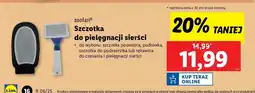 Lidl Szczotka pudlówka Zoofari oferta