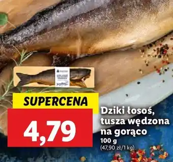 Lidl Dziki łosoś tusza oferta