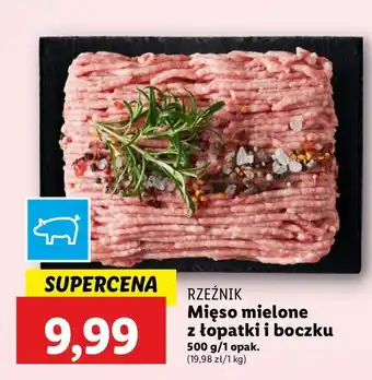 Lidl Mięso mielone z łopatki i boczku Rzeźnik Codzienna Dostawa oferta