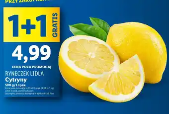 Lidl Cytryny Ryneczek Lidla oferta