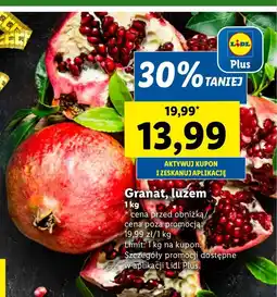 Lidl Granat oferta