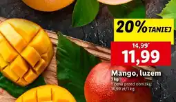 Lidl Mango oferta