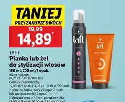 Lidl Żel do włosów Taft Looks Maxx oferta