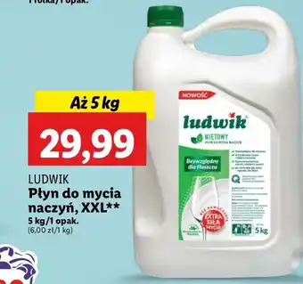 Lidl Płyn do naczyń miętowy Ludwik oferta