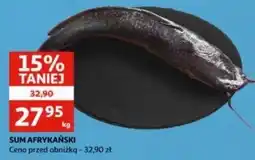 Auchan Sum afrykański cały oferta