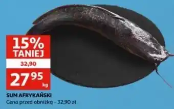 Auchan Sum afrykański cały oferta