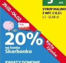 Auchan Kwiaty domowe oferta