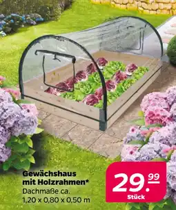 Netto Gewächshaus mit Holzrahmen oferta