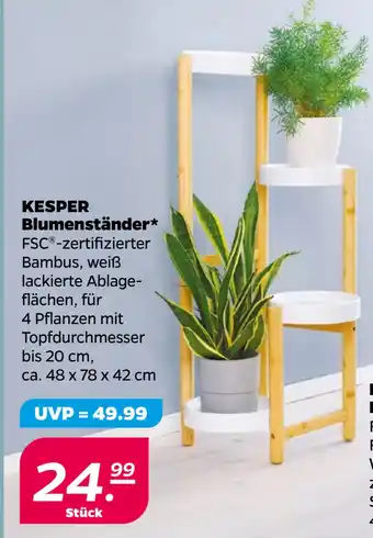 Netto KESPER Blumenständer oferta