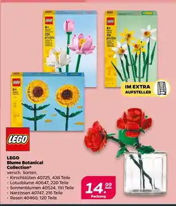 Netto LEGO Blume Botanical Collection oferta