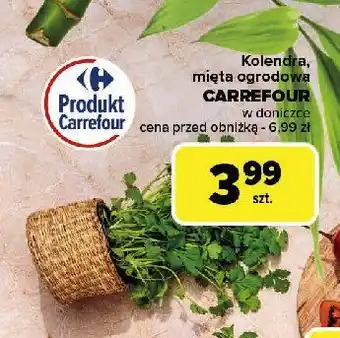 Carrefour Market Kolendra Carrefour oferta