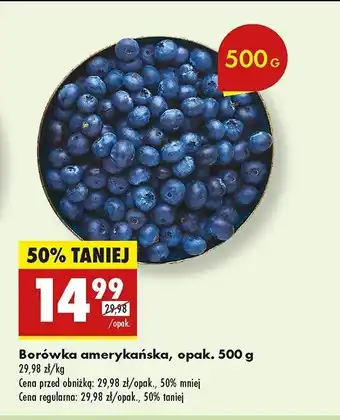 Biedronka Borówka amerykańska oferta