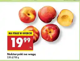 Biedronka Nektarynki oferta