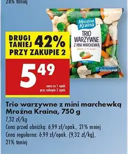 Biedronka Trio warzywne Mroźna kraina oferta