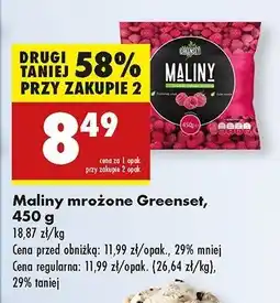 Biedronka Maliny Greenset oferta