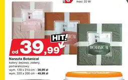 Bricomarche Narzuta oferta