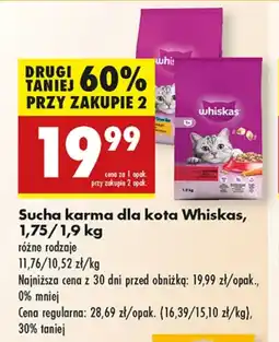 Biedronka Karma dla kota Whiskas oferta