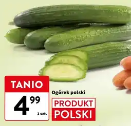 Intermarche Ogórek polska oferta