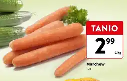 Intermarche Marchew oferta