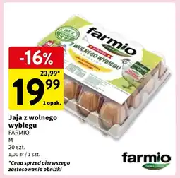 Intermarche Jaja z wolnego wybiegu kl. m Farmio oferta