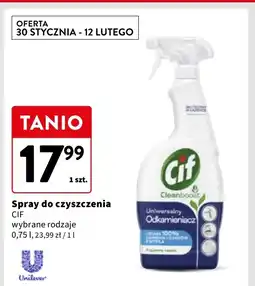 Intermarche Odkamieniacz uniwersalny Cif Cleanboost oferta