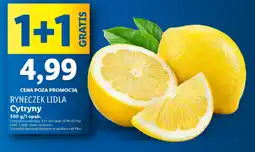 Lidl Cytryny oferta