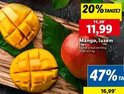 Lidl Mango, luzem oferta