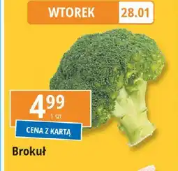 E.Leclerc Brokuł oferta