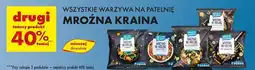 Biedronka Warzywa na patelnię po azjatycku z mieszanką przypraw Mroźna Kraina oferta