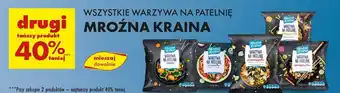 Biedronka Warzywa na patelnię po azjatycku z mieszanką przypraw Mroźna Kraina oferta