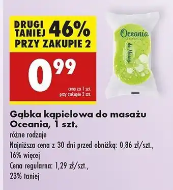 Biedronka Gąbka do masażu Oceania oferta