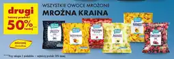 Biedronka Mix owocowy Mroźna Kraina oferta