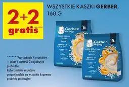 Biedronka Kaszla mleczna ryżowo-owsianka jabłko-morela Gerber oferta