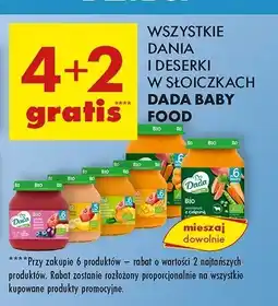 Biedronka Bio warzywa z indykiem i słodkim ziemniakiem Dada Baby Fresh oferta