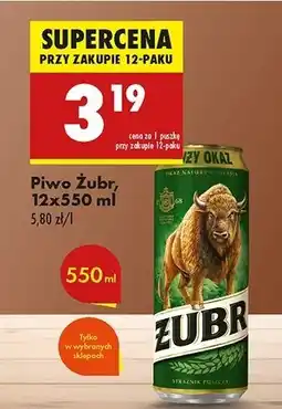 Biedronka Piwo Żubr 1768 oferta