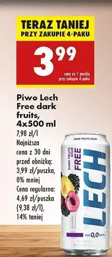 Biedronka Piwo Lech Free Dark Fruits Sour oferta