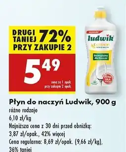 Biedronka Płyn do naczyń cytrynowy Ludwik oferta