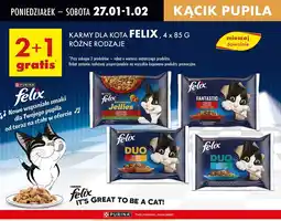 Biedronka Karma dla kotów smaki rybne w galaretce Purina Felix Duo oferta